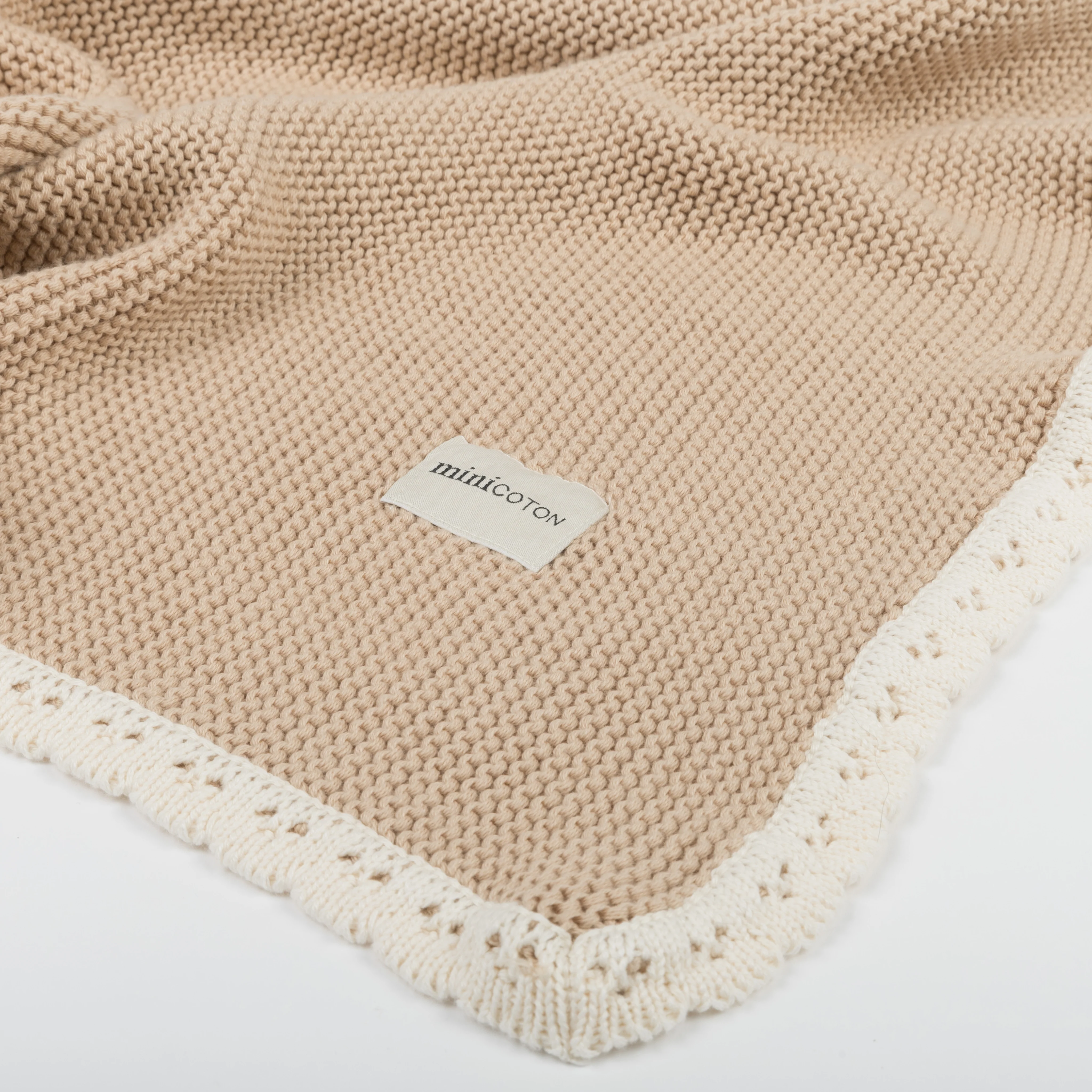 Manta Scallop Blush - Image 3